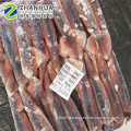 New frozen illex squid 150-200g Whole round China calamary high quality price